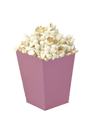 PartiPan Mısır Kutusu Lila Renk 10'lu