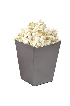 PartiPan Mısır Kutusu Gümüş Renk 10'lu