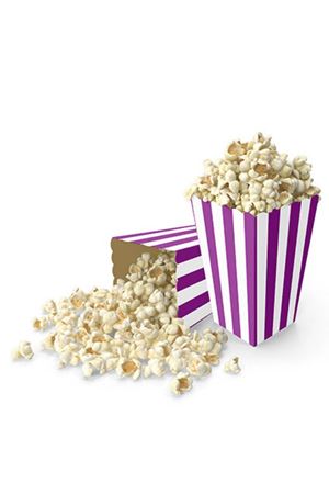 Çizgili Mısır Kutusu Mor 8 Adet