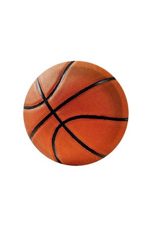Basketbol Temalı Karton Tabak 8 Adet