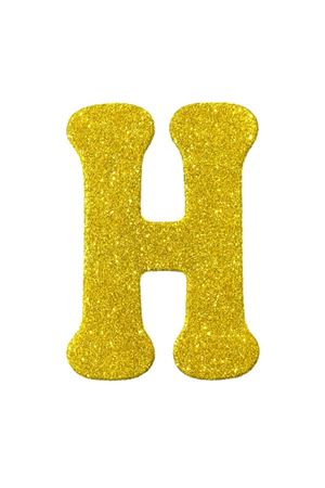 Eva Simli H Harf Altın 12 cm