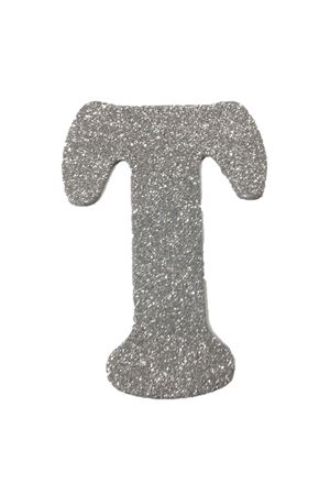 Eva Simli T Harf Gümüş 12 cm