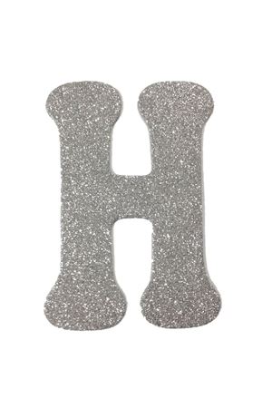 Eva Simli H Harf Gümüş 12 cm