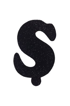 Eva Simli Ş Harf Siyah 12 cm