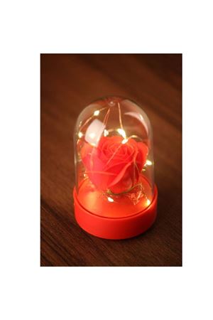 Işıklı Cam Fanus Kırmızı Gül