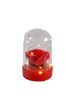 Işıklı Cam Fanus Kırmızı Gül