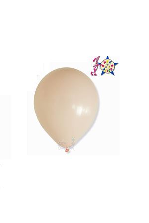 Balon Pastel Hbk 11" Ten Rengi